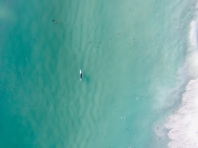水体上灰色和黑色浮木的航空摄影